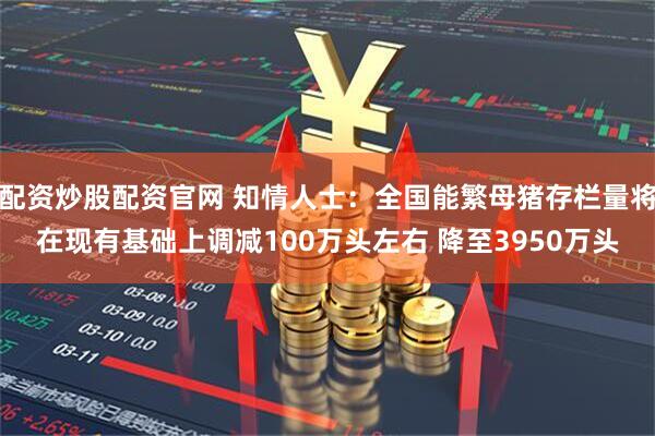 配资炒股配资官网 知情人士：全国能繁母猪存栏量将在现有基础上调减100万头左右 降至3950万头