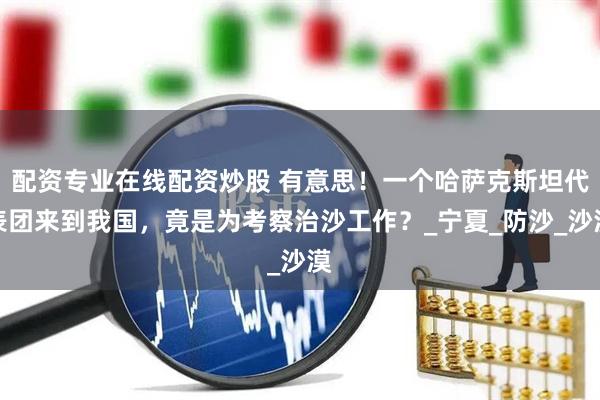 配资专业在线配资炒股 有意思！一个哈萨克斯坦代表团来到我国，竟是为考察治沙工作？_宁夏_防沙_沙漠